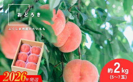 No.2987 固い桃 おどろき 約2kg(5～7玉)【2026年発送】