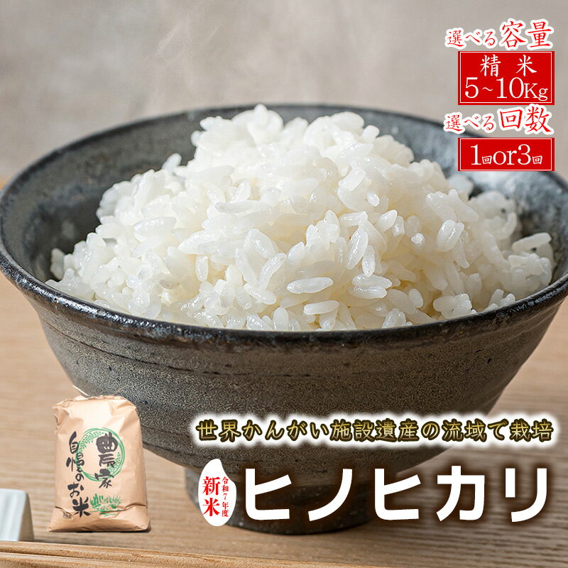 【ふるさと納税】令和7年度産 ヒノヒカリ 精米 八千種米 お米 白米 新米 米 ごはん 兵庫 兵庫県産 世界かんがい施設遺産登録『西光寺野疏水路』 お米 選べる容量　選べる回数