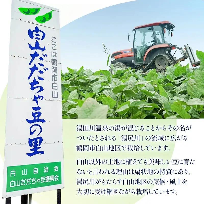 【令和8年産先行予約】【訳あり】白山だだちゃ豆　5kg（1kg × 5袋）　長五郎