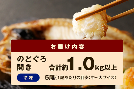 のどぐろ専門店シーライフ のどぐろ一夜干し5枚で計1.0kg「グリルサイズセット」 魚 干物 干もの 一夜干し 手頃 小分け 個包装 産地直送 のどぐろ 人気 贈答 ギフト プレゼント 【1570】