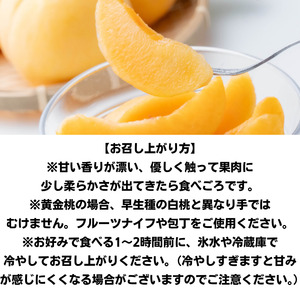 家庭用 黄金桃 3玉 大玉 約900g 岡山県産【先行予約 2025年8月下旬から順次発送】