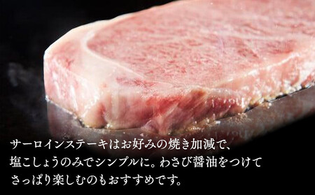 飛騨高山の誇り 飛騨牛 サーロインステーキ用 1.0kgブロック｜飛騨牛 飛騨高山 PS006 　