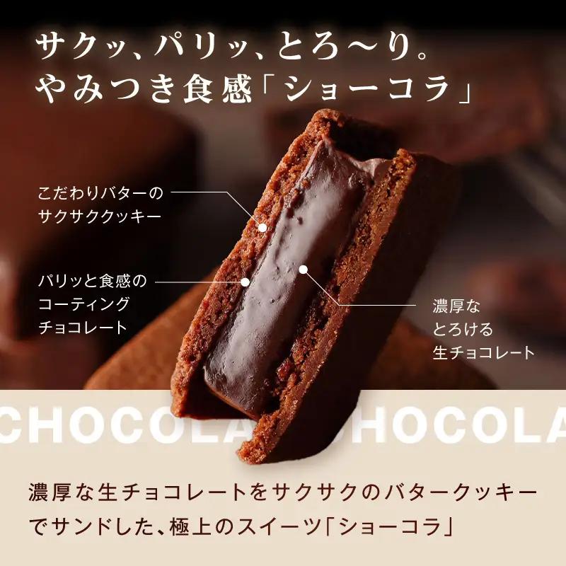 VANILLABEANS ショーコラ パリトロ 16個 チョコサンド チョコレート 横浜  AGK0007