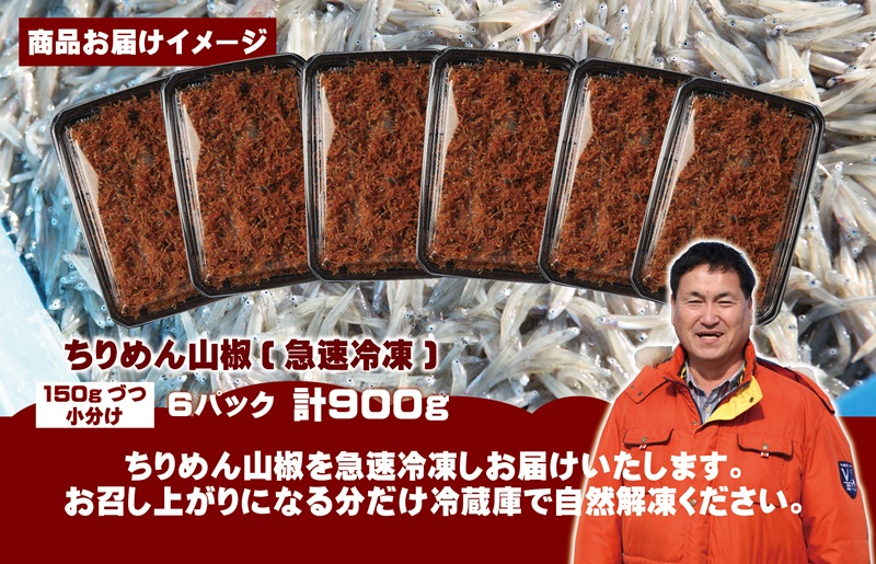 しらす漁師 濱ちゃんのこだわり ちりめん山椒しらす 900g（150g×6P）【シラス 国産 魚介類 しらす ご飯のお供 海鮮丼 冷凍】