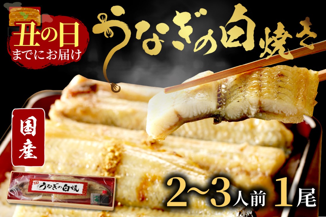 【土用の丑の日までに届く！（7月30日～8月1日配送）】うなぎの白焼き2～3人前(1尾)　AN00085