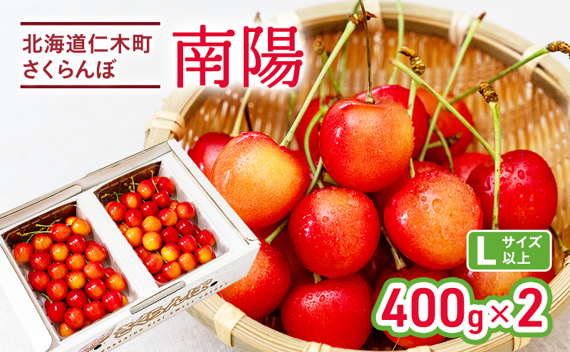 さくらんぼ 南陽 400g×2P 計800g Lサイズ　サクランボ チェリー フルーツ 果物 果物類 ギフト 北海道 仁木町 仁木 [カムナビファーム]