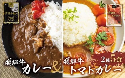 【2月発送】飛騨牛カレー (3袋) 飛騨牛トマトカレー (2袋)  計5食   簡易包装 ビーフカレー 飛騨牛 トマト カレー レトルトカレー  ふるさと清見 DC003VC02