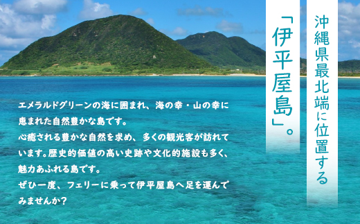 地元民から人気の名店 幸ちゃんそば もずく生麺 ソーキそば 2食セット【配送不可地域：離島】【1691170】