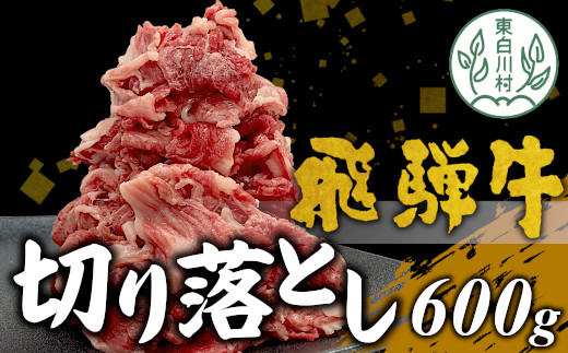 【1月発送】飛騨牛 切り落とし 600g 牛肉 和牛 肉 切落し ブランド牛 国産 牛 10000円