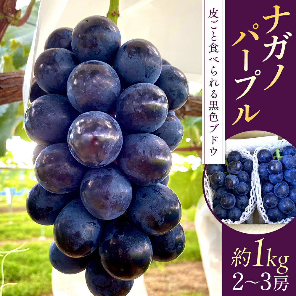 【ふるさと納税】ナガノパープル(約1kg、2～3房) | 果物 フルーツ ぶどう ブドウ 葡萄 ナガノパープル ふるさと 信州 長野県 長野 立科町