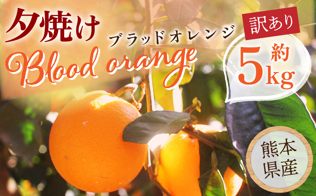 
            夕焼けブラッドオレンジ 訳あり 5kg 果物 くだもの フルーツ 柑橘【2026年2月下旬-6月下旬発送】
          