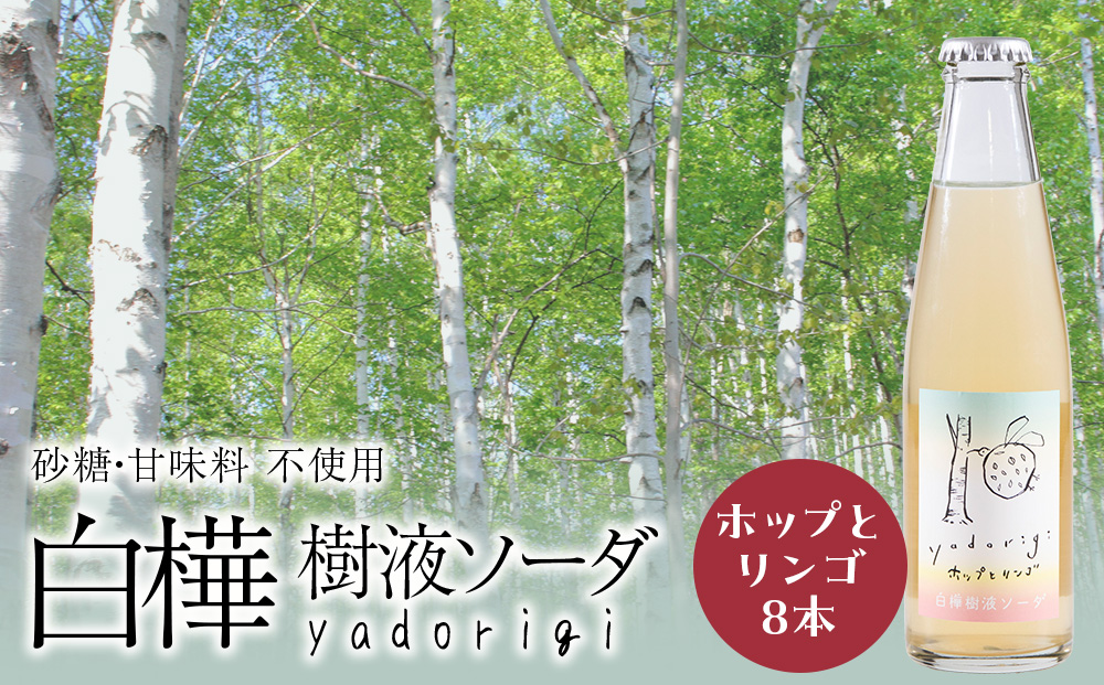 白樺樹液ソーダyadorigi（ホップとりんご）8個 北海道産 国産