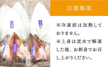 イカ 刺身 一夜干し セット  [JCC009]  剣先イカ