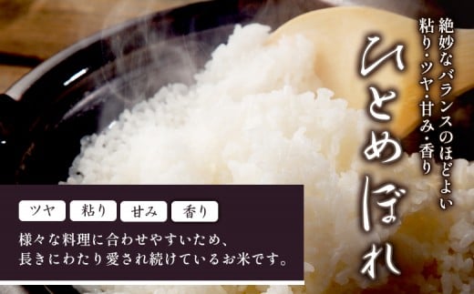 【2025年産新米予約】ひとめぼれ（精米）5kg【数量限定】
