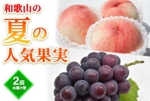【定期便】和歌山の夏の人気果実2回お届け便 ※着日指定不可 ※離島への配送不可 ※2023年7月上旬～9月中旬頃に順次発送予定