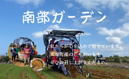 【新じゃが】徳之島 天城町産 赤土じゃがいも 5kg M～2L 混合サイズ 南部ガーデン ジャガイモ ばれいしょ バレイショ CB-5
