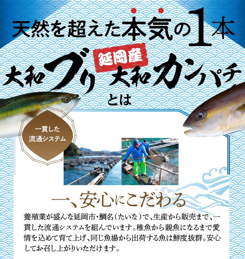 【6ヶ月定期便】頑張る自分へのご褒美セット N072-YG0231