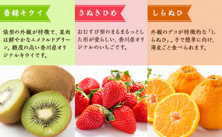 特産　フルーツ　定期便（年12回） 香緑キウイ さぬきひめいちご しらぬひ 貯蔵 デコポン 