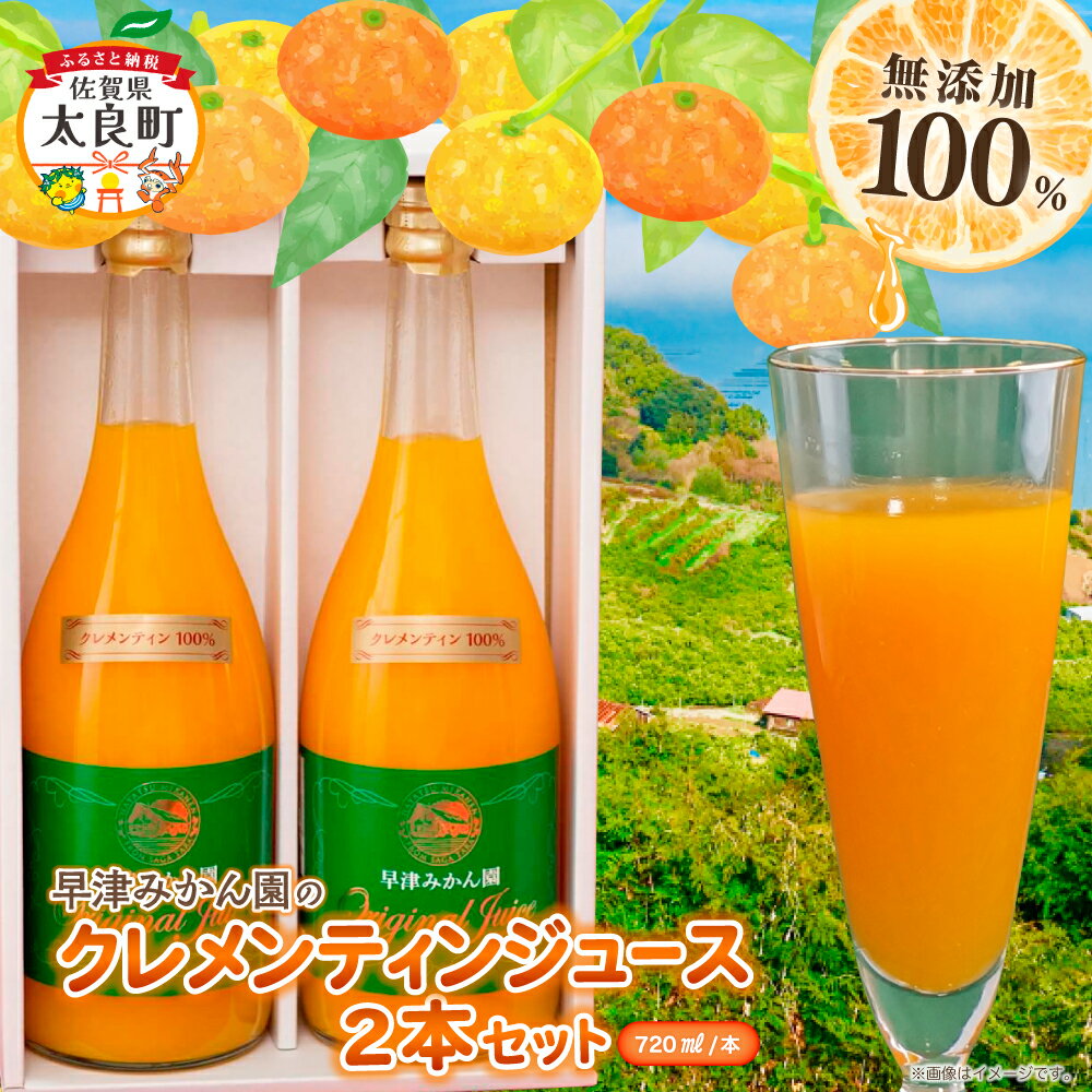 【ふるさと納税】クレメンティンジュース 720ml 2本セット 【2026年2月上旬～9月下旬発送予定】 みかん 柑橘 フルーツ ジュース 早津みかん園 佐賀県 太良町 ND13x1