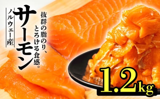 期間 数量 限定 ノルウェー産  サーモン 1.2kg まるが水産 指定日可