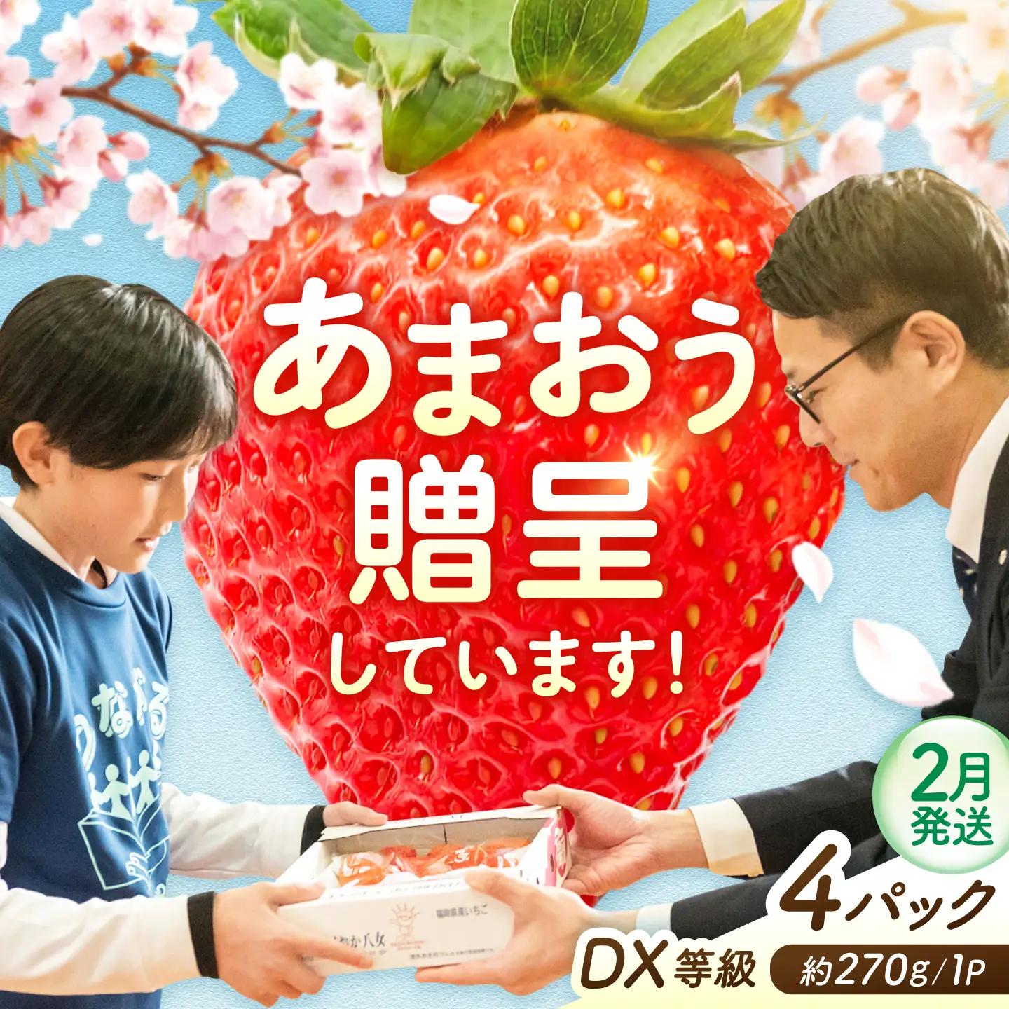 ※削除予定【2月発送】あまおうDX等級 2ケース（約270g×4パック） 広川町 / JAふくおか八女農産物直売所どろや[AFAB109-]