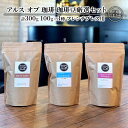 【ふるさと納税】珈琲豆 厳選 セット 100g×3種 フレンチプレス用 コーヒー 珈琲　【鳥栖市】