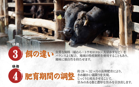 姫路和牛 もも すき焼き 500g 冷凍 
