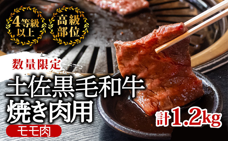 土佐 黒毛 和牛 焼肉用1.2kg （ 600g × 2パック ） | 特撰 モモ肉 最上位等級 A4 A5 最高ランク 1kg 以上 贅沢 焼き肉 やきにく 小分け 冷凍 国産 ブランド 和牛 牛肉 大人気 ギフト リピート リピーター おすすめ ランキング おいしい 限定 高評価 BBQ バーベキュー キャンプ アウトドア 高知県 須崎 TM012