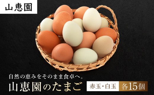 
                  山恵園のたまご （ネラ卵15個＋アローカナ卵15個）| たまご 卵 赤玉 白玉  鶏卵 養鶏場 湯河原町
                