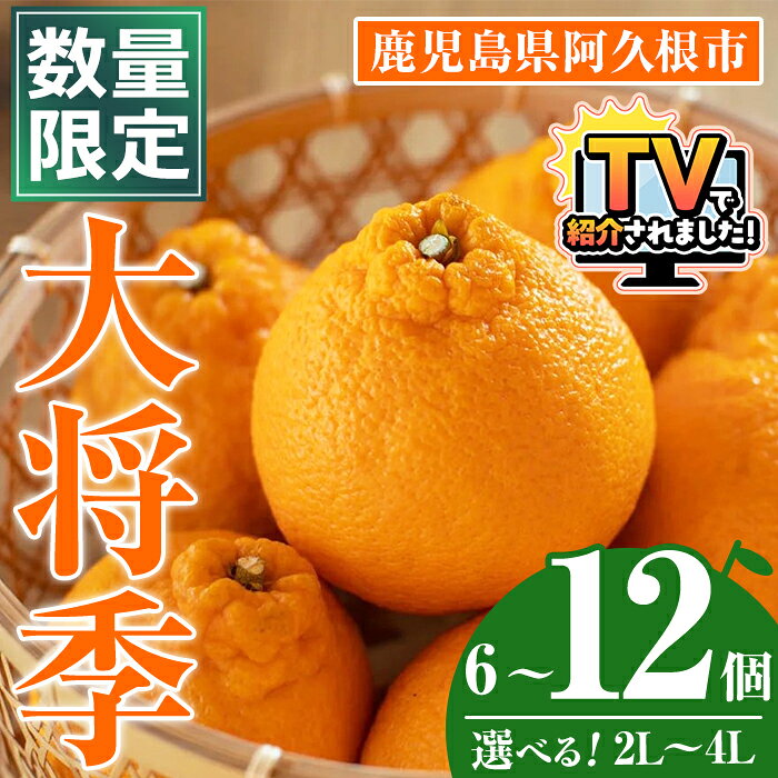 【ふるさと納税】＼テレビで紹介されました！／＜先行予約受付中！2027年1月中旬以降順次発送予定＞＜サイズ・内容量が選べる！＞数量限定！大将季 (6～12個・2L～4L) 柑橘 フルーツ 果物 国産 みかん 期間限定 不知火 しらぬい シラヌイ ミカン【株式会社土曜日】