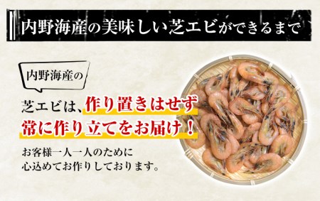 海老 エビ 釜揚げ 一夜干し 芝えび (800g) 約200尾 魚介 海産 海鮮 内野海産《45日以内に出荷予定(土日祝除く)》