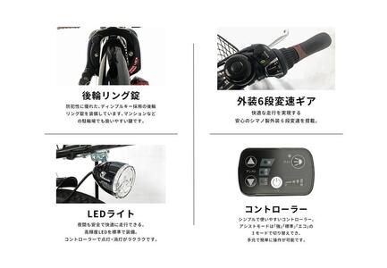PELTECH（ペルテック）ノーパンク 折り畳み電動アシスト自転車 20インチ 折り畳み外装6段変速（TDN-208LN）【簡易組立必要】【ブルー×ブラック】