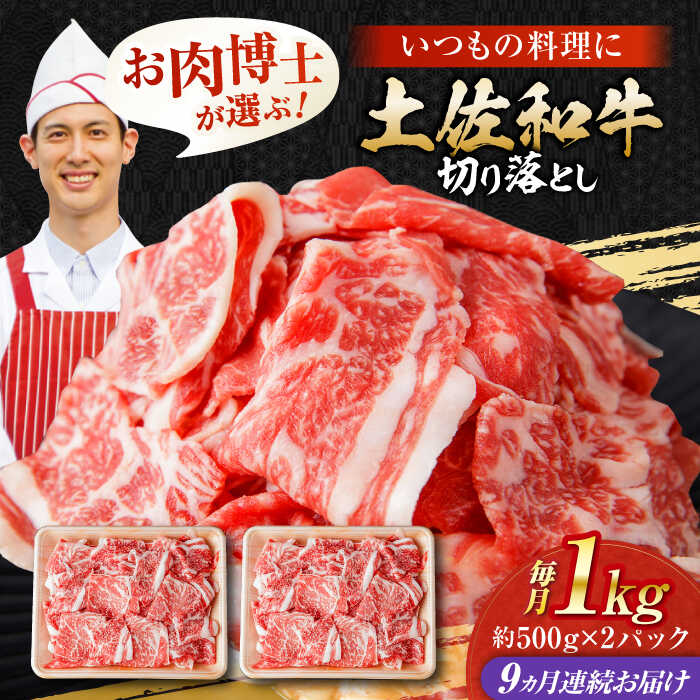 【ふるさと納税】【9回定期便】高知県産 土佐和牛 切り落とし 炒め物 すき焼き用 約1kg×9ヵ月 総計約9kg[ATAP097]