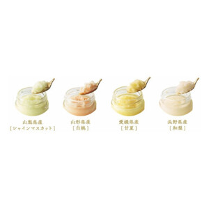 【お中元】【期間限定7月31日まで】ザ・スウィーツ　凍らせて食べるフルーツソルベ（１２個）