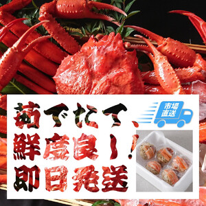 1053.【2025年11月発送】特撰 松葉がに （茹）【訳あり】600g超のサイズ 食べ応えあり 1杯  | カニ 松葉がに