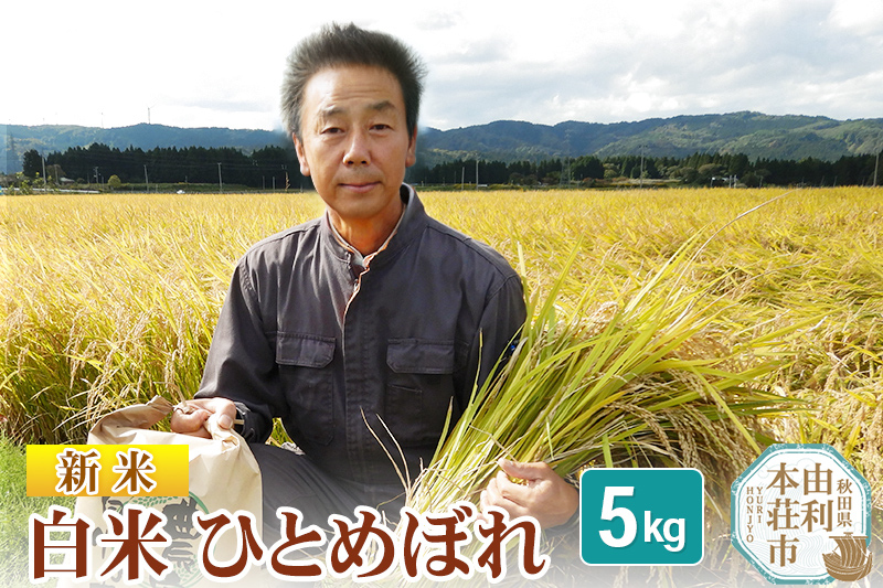 【白米】 ＜通算5回 特A＞ ひとめぼれ   5kg 令和7年産 新米 農家直送 渡部さんのひとめぼれ