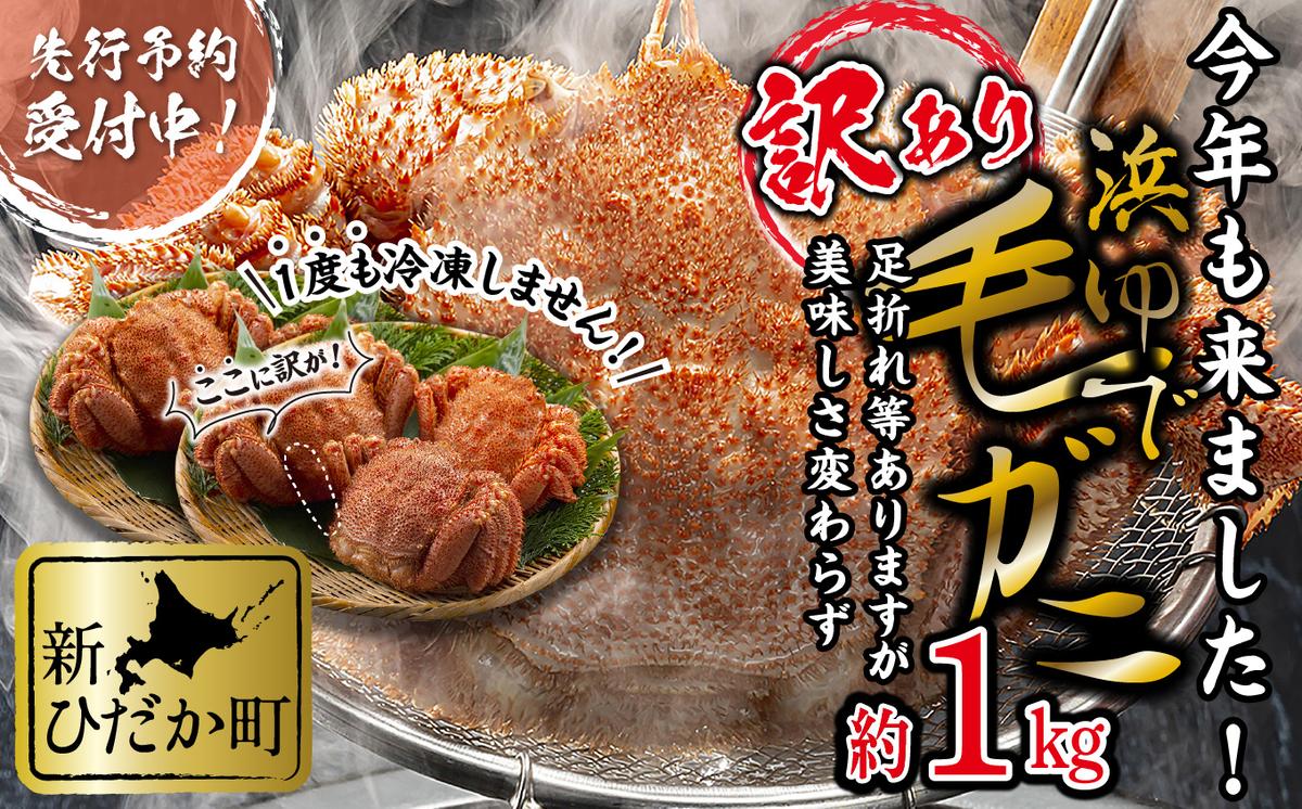訳あり 北海道産 浜ゆで 毛ガニ 約 1kg ＜2026年2月中旬から順次発送＞ 毛蟹 毛がに かに味噌 カニ味噌 新鮮 旬 ボイル 浜茹で 海鮮 海産物 わけあり 訳アリ 