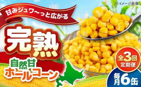 【全3回定期便】自然甘 ホールコーン 6缶【きもべつ観光協会】 缶詰 瓶詰 加工品 とうもろこし 北海道 常温配送 [AJAG032]