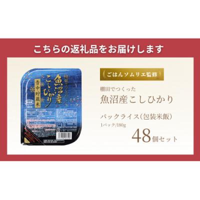 ふるさと納税 小千谷市 ふっくら美味しい魚沼産コシヒカリ雪中貯蔵米パックご飯180g×48個 |  | 03