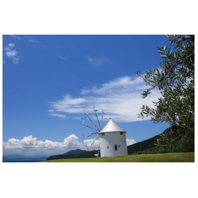ふるさと納税 三木町 「瀬戸・たかまつネットワーク」貸切クルーザーで巡る香川県(直島・豊島方面)2日間 |  | 01