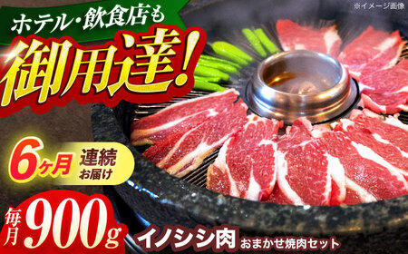 【6回定期便】猪肉おまかせ焼肉セット 900g (ロース・モモ・バラ)[OAJ032]