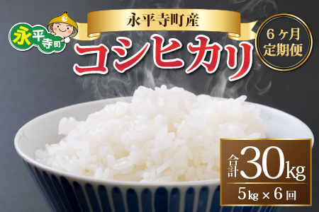 【6ヶ月定期便】【白米】令和8年度産　新米 永平寺町産 コシヒカリ 5kg×6ヶ月 計30kg  ５キロ 5kg 米  米 お米 コメ 送料無料 こしひかり 福井