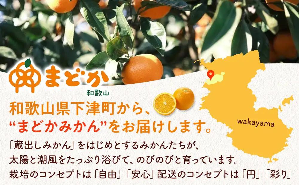 ［先行予約］［贈答用］秋採れみかん（早生みかん）S〜Lサイズ混合 10kg＋500g（傷み補償分）［2026年11月上旬より発送］