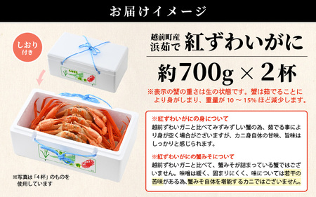 【訳あり】≪浜茹で≫越前産 紅ずわいがに 約700g × 2杯 食べ方しおり付【11月発送分】【紅ズワイガニ カニ かに 蟹 姿 ボイル 冷蔵 福井県】希望日指定不可 [e14-x025_11]