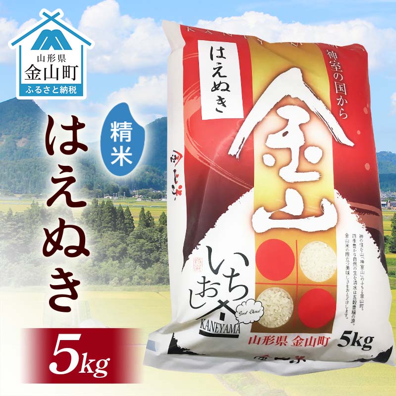 【ふるさと納税】令和7年産 金山産米 はえぬき 【精米】（5kg）米 お米 白米 ご飯 精米 ブランド米 送料無料 東北 山形 金山町 F4B-0641