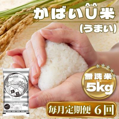 ふるさと納税 鳥栖市 【毎月定期便】がばいU米(うまい)【無洗米】5kg(鳥栖市)全6回