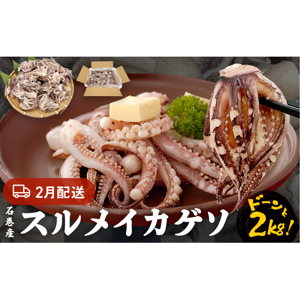 訳あり 石巻産スルメイカゲソ 2kg 2月配送 冷凍 国産 いか 下足 おつまみ ゲソ天 焼イカ おかず
