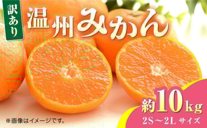 
            【先行予約】【数量限定】温州みかん約10kg　2S～2Lサイズ　【くまふる】 [ZBG049]
          