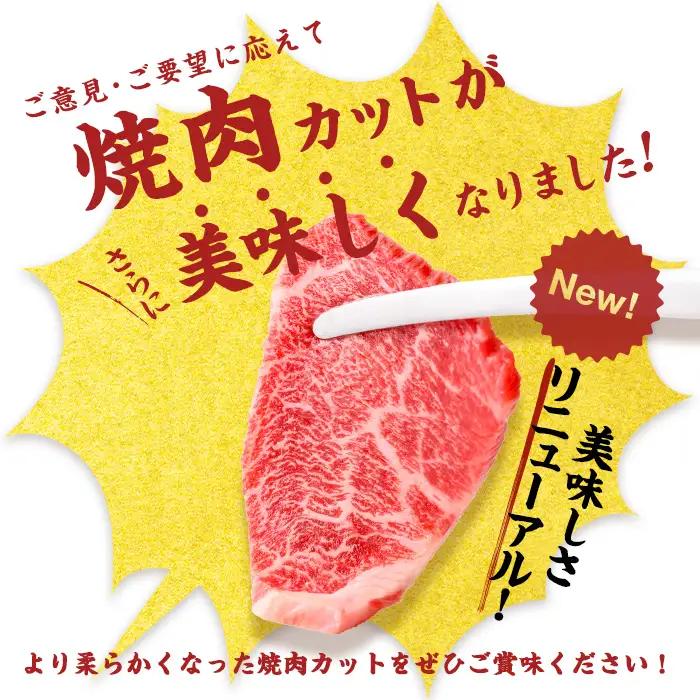 鹿児島県産黒毛和牛赤身ウデ焼肉 (計1kg・200g×5P) 黒毛和牛 国産 肉 牛肉 赤身 ウデ肉 鹿児島 小分け 焼き肉 炒め物 冷凍 a5-379