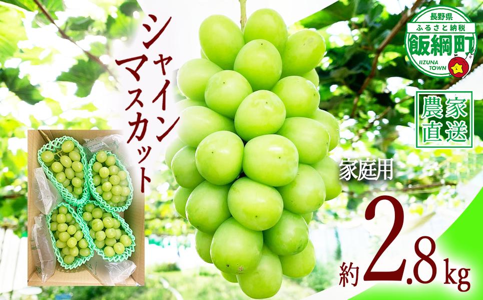 
                  ぶどう シャインマスカット 家庭用 ( お徳用 ) 約 2.8kg ファームトヤ 配送先は本州限定 2026年9月中旬頃から2026年10月上旬頃まで順次発送予定 令和8年度収穫分 信州 果物 フルーツ ブドウ マスカット 葡萄 長野 予約 農家直送 長野県 飯綱町 [1418]
                